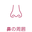鼻の周囲