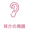耳介の周囲