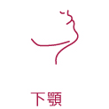 下顎